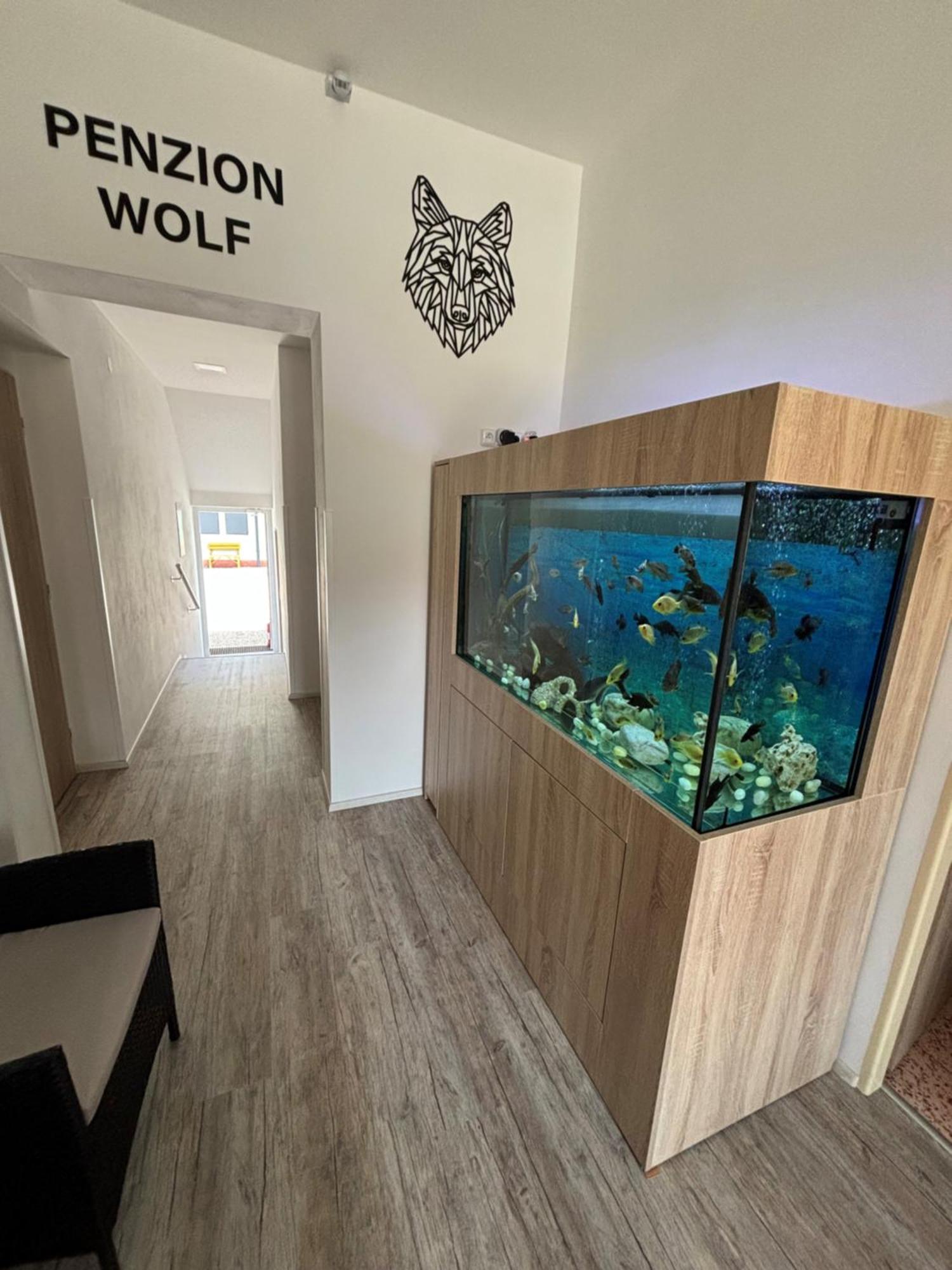 Penzion A Autokemp Wolf เชสกา สกาลิเซ ภายนอก รูปภาพ